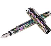 Stylo plume en coquille d'abalone, à pointe fine, rechargeable, avec étui en velours et boîte cadeau