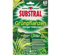 Substral Bâtons d'engrais pour Plantes Vertes Pack de 60