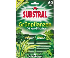 Substral Bâtons d'engrais pour Plantes Vertes Pack de 60