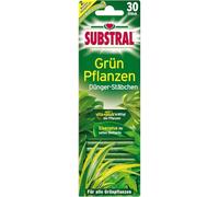 Substral Engrais en bâtons pour plantes vertes - 30 bâtons