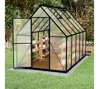 SUBTLETY Serre en aluminium - 280 x 170 x 195 cm - Résistant aux intempéries - Plaques creuses de 4 mm - Serre à tomates avec fondation de 6 cm et 2 fenêtres de toit pour jardin d'hiver