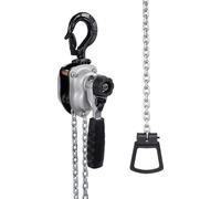 SucceBuy Mini palan à levier avec capacité de charge de 1/4T, palan manuel à chaîne, hauteur de levage de 3 m, chaîne robuste en alliage d'acier G80 et frein mécanique à double cliquet, palan à chaîne