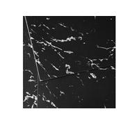 SucceBuy Revêtement de Sol en Vinyle 30,5×30,5cm 50PCS Pour Salle à Manger et Chambre