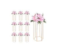 SucceBuy Support à fleurs Pack de 10 Hexagonal Acier Doré 60cm - Capacité 15kg