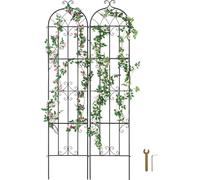 SucceBuy Treillis de jardin pour plantes grimpantes, 221,1 x 50,8 cm, 2 paquets, métal inoxydable, embellissez votre jardin