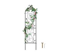 SucceBuy Treillis Jardin - Métal 38x152cm Noir Antirouille pour Plantes Grimpantes