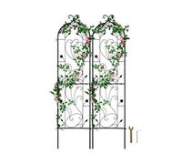 SucceBuy Treillis Jardin - Pack de 2 - Métal 38x152cm Noir Antirouille pour Plantes Grimpantes et Rosiers