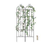 SucceBuy Treillis Jardin - Pack de 2 - Métal 51x220cm Noir Antirouille pour Plantes Grimpantes et Concombres