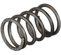 Suevia Ressort de soupape pour toutes soupapes - 10 pièces pour abreuvoirs Suevia - pièce de rechange 102.0673-10