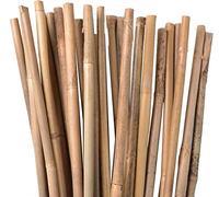 Suinga Lot de 50 Tuteur en Bambou 100 cm, 8-10 mm, Tubes en Bambou pour Plantes et Arbres, Baguettes de Bambou, Canne de Bambou, Tuteur, Tiges de Bambou, Supports pour Arbres