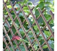 Suinga - TREILLIS en Osier Extensible, 50 x 150 cm pour jardin. Soie artificielle extensible.