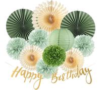 SUNBEAUTY Ensemble de ventilateurs en papier vert sauge pour la Saint-Valentin - Décoration de fête d'anniversaire en vert sauge - Décoration en papier de soie crème - Pom Poms - Ventilateurs en