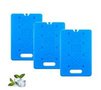 sunVigorous Grands blocs réfrigérants pour sac isotherme - 3/6 pièces de 600 ml - Élément réfrigérant ultra fin réutilisable - Convient pour les activités de plein air à emporter pour garder les