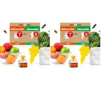 Super Ninja Anti Moucherons Intérieur Cuisine + Terreau, Lot de 4 + 10