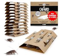Super Ninja Pieges à Cafards Collants, Produit Anti Cafard, Lot de 24 | Glu Imprégnée d'Attractif, Prêt à l'Emploi, Discret, pour Intérieur, Cuisine, Placard, Garage & Cave, Sans Odeur, Discret