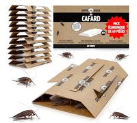 Super Ninja Pieges à Cafards Collants, Produit Anti Cafard, Lot de 60 | Glu Imprégnée d'Attractif, Prêt à l'Emploi, Discret, pour Intérieur, Cuisine, Placard, Garage & Cave, Sans Odeur, Discret