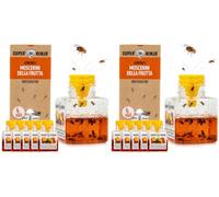 Super Ninja Pièges Anti Moucherons d'Intérieur Cuisine, Lot de 12