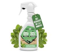 Super Ninja Spray Anti-Fourmis, Araignées, Poissons d'Argent et Anti-Cafards 500 ml - Insecticide Puissant Maison Intérieur pour Insectes Rampants - Formule à la Menthe Naturelle