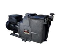 Super Pump 1,5 cv Tri - 2" de Hayward - Pompe piscine