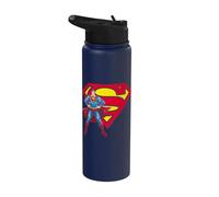 Superman Superman & Logo Stainless Steel Insulated Water Bottle