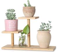 Support à plantes en bambou pour l'intérieur - mini à 3 étages - organiseur de bureau