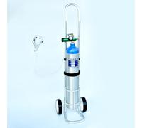 Support de bouteille d'oxygène, chariot à oxygène pour bouteille unique, petite taille, chariot pour bouteille d'oxygène pour réservoir d'oxygène, chariot de support de réservoir d'oxygène en alliag
