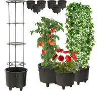 Support de cadre 6 pcs Ø 28,5 fleurs légumes fruits vigne