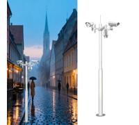 Support de fixation robuste pour caméra de sécurité sur poteau de 5 m - Support pour moniteur de 197 pouces avec cage en acier renforcée résistante aux intempéries pour boîtier de surveillan