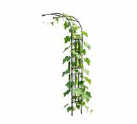 Support de Fleurs en Demi-Arche de 7,9 Pieds de Haut, Treillis grimpant en Fer forgé épaissi, Support d'arche de Roses for Patio extérieur, résistant au Vent et Robuste, Noir.(300 * 240 * 40cm)