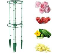 Support De Jardin - Botle - Arceau 80cm - Plastique Résistant - Vert - Plantes Grimpantes Multicolore