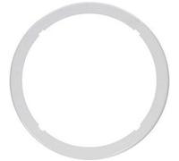 Support de panier de skimmer de piscine - Blanc - SPX1096A2 - Hayward Blanc G