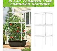 Support De Plantes De Jardin 30cm, Cadre De Support D'escalade, Poteau Fixe De Vigne De Fleurs, Kit De Support Décoratif En Treillis