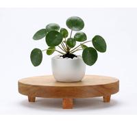 Support de présentation rond en bois d'acacia, 20,5 cm | Présentoir de cuisine et support pour plantes