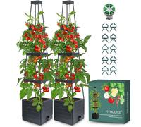 Support de tomates avec jardinière - Support de plantes grimpantes - 150 cm - Réservoir d'eau intégré - Gris - 2 pièces