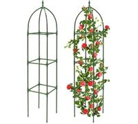 Support Plante Grimpante 2 pièces 171 cm Tuteur Rosier Grimpant Exterieur Amovible il est Possible de l'enlever Support Rosier
