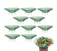 Support pour de fraises - Étagère surélevée, support pour fruits, cadre de jardin | Cage de réutilisables pour balcon, jardinage sur lit surélevé