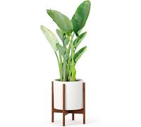 Support pour plante en bois de cerisier, sans pot en céramique, blanc, support moderne, compatible avec un pot de 30 cm, en bois d'acacia