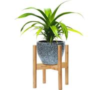 Support pour plantes Bamboe - Supports pour plantes en bois - 1 pièce - Bois - 22-32 cm