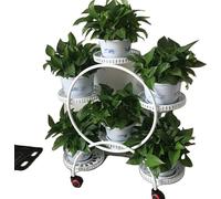 Support pour plantes, design à plusieurs niveaux, mouvement facile, cadre en fer de haute qualité