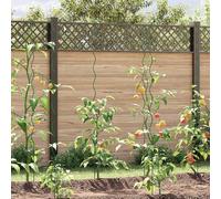 Supports de plantes spiralés vidaXL 50 pièces 170 cm Acier