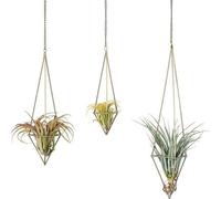 Supports géométriques pour plantes d'intérieur - Lot de 3 - Supports en bronze pour plantes aériennes avec chaîne
