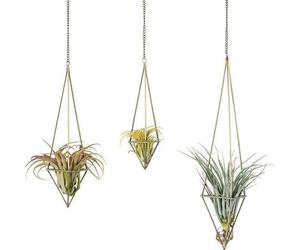 Supports géométriques pour plantes d'intérieur - Lot de 3 - Supports en bronze pour plantes aériennes avec chaîne