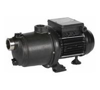 surpresseur 1.5cv mono - boost15m - sta rite