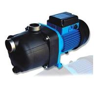 Surpresseur 1 cv mono Polaris BP/W4530247 G
