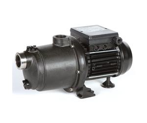 Surpresseur Boost-Rite Evo Pentair - Type 1 cv - Monophasé - 0,75 kW -