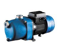 Surpresseur Zodiac Polaris 1 cv mono