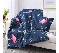 Surwin Couverture et Oreiller de Voyage 2 en 1, Dessin animé Couvre-lit d'été Convertible en Coussin, Courtepointe Léger Adapté au Sommeil en Voiture, au Bureau et en Avion (Flamant)