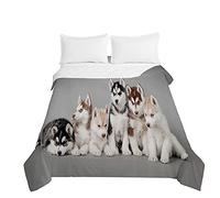 Surwin Couvre Lit Matelassé pour 1/2 Personnes, Chien de Compagnie 3D Dessus de Lit Réversible Couverture de lit Doux Microfiber Jeté de Lit Couvre-lit Printemps Été (Husky sibérien,230x260cm)