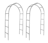Susany Arche de Jardin 2 pcs pour Plantes Grimpantes 140 x 39 x 240 cm
