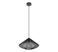 Suspension DOLWEN E27 1X40W en acier noir D425mm